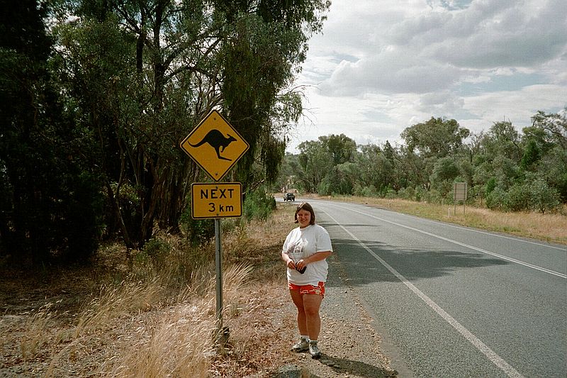 New South Wales    -    Tirsdag d. 13 februar\n\nS er vi p vej. Her er det frste af mange knguruadvarselsskilte p vejen mellem Blue Mountains og West Wyalong.