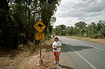 New South Wales    -    Tirsdag d. 13 februar\n\nS er vi p vej. Her er det frste af mange knguruadvarselsskilte p vejen mellem Blue Mountains og West Wyalong.