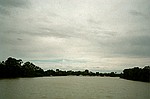 New South Wales    -    Onsdag d. 14 februar\n\nDen ret oversvmmede Murray River som vi kom til at kre over adskillige forskellige steder langs dens forlb i lbet af de nste par dage.