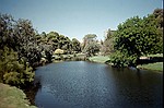 South Australia    -    Torsdag d. 15 februar\n\nRiver Torrens lber gennem Adelaide. Vi spiste frokost p bredden - sknt.