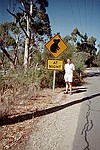 South Australia    -    Fredag d. 16 februar\n\nP vej mod Cleland Wildlife Park.