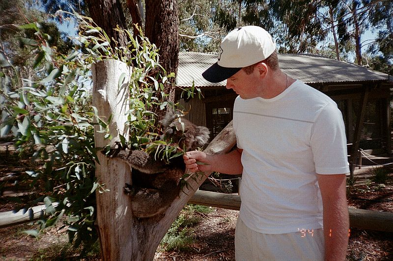 South Australia    -    Fredag d. 16 februar\n\n"Se lille koala, jeg har taget en eucalyptusgren med til dig"