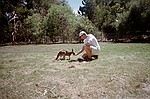 South Australia    -    Fredag d. 16 februar\n\nKoa..... ne nej. Carsten og en sulten lille knguru.