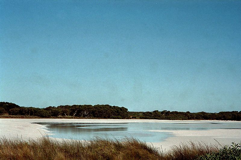 South Australia    -    Fredag d. 16 februar\n\nScene fra den fantastiske nationalpark. Den ene store salts aflste den anden.