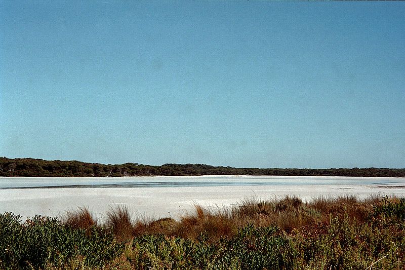 South Australia    -    Fredag d. 16 februar\n\nEndnu et smukt udsyn fra den lille sidevej til hovedvejen som vi krte nok 30 km. ad. Det var grus, grus og grus. Det kunne man godt se p Nissanen bagefter.