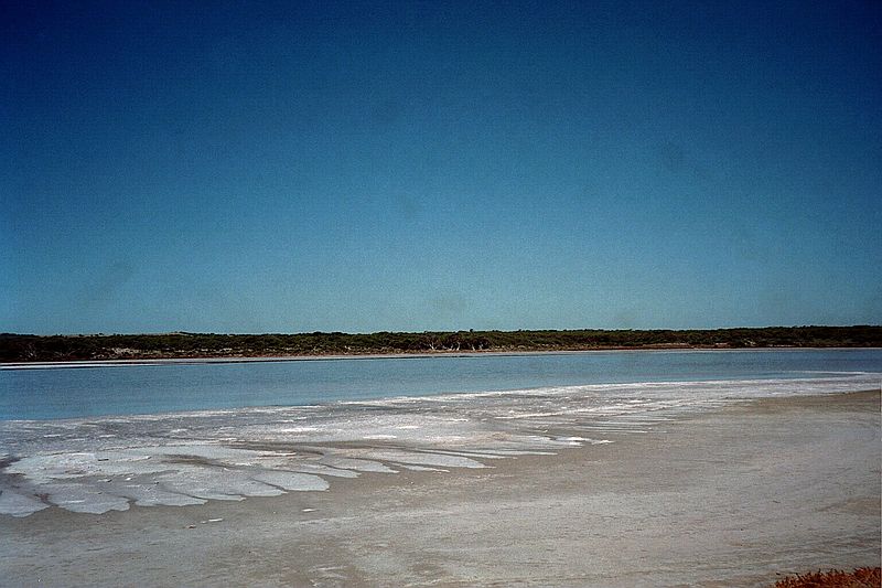 South Australia    -    Fredag d. 16 februar\n\nFlere billeder fra Coorong National Park.