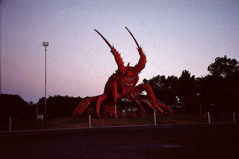 South Australia    -    Fredag d. 16 februar\n\nVerdens strste ( -og grimmeste) hummer ved indgangen til Kingston - men Carsten mtte have et billede af den.