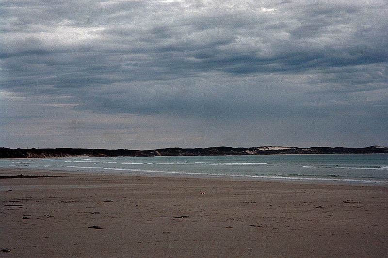 Victoria    -    Mandag d. 19 februar\n\nVi er stadig p stranden i Cape Bridgewater. Vandet var for koldt til at bade i.