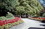 Victoria    -    Torsdag d. 22 februar\n\nCarsten dufter til de utallige farvestrlende blomster i botanisk have. Noget af et farvechok nr der samtidig er snestorm derhjemme.
