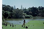Victoria    -    Torsdag d. 22 februar\n\nCarsten blandt arrige svaner i Botanisk have, Melbourne.