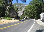 S er vi p vej ud af Yosemite Nationalpark