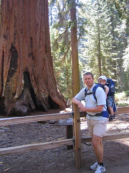 Kings Canyon national park