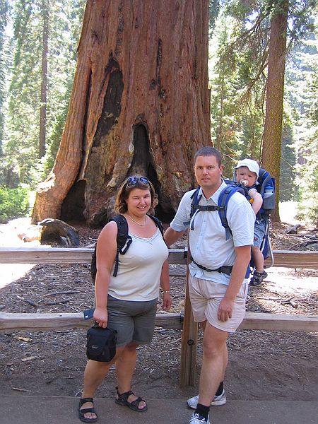 Kings Canyon national park