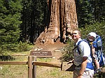 Kings Canyon national park