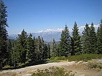 Giant Seqouia national park