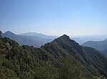 Giant Seqouia national park