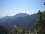 Giant Seqouia national park