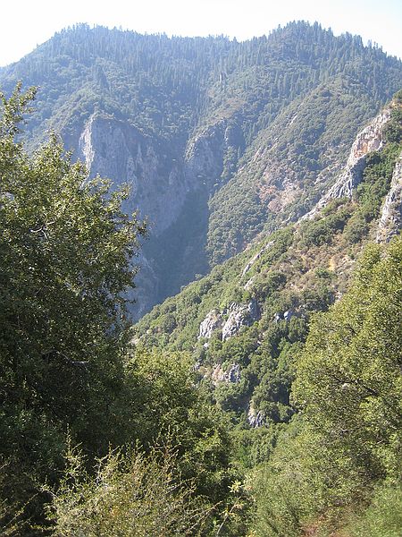 Giant Seqouia national park