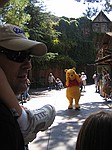 We're looking for Pooh