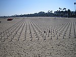 Stranden i Santa Barbara. Et kors for hver dd amerikans soldat i Irak.