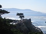 Pebble Beach, 17 mile drive